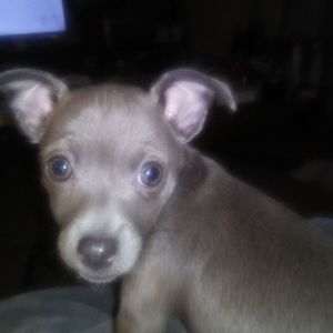 Meet your Posher, Diane